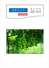 �x�������No.57