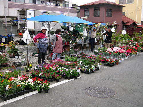 �R�`��t�Ղ�